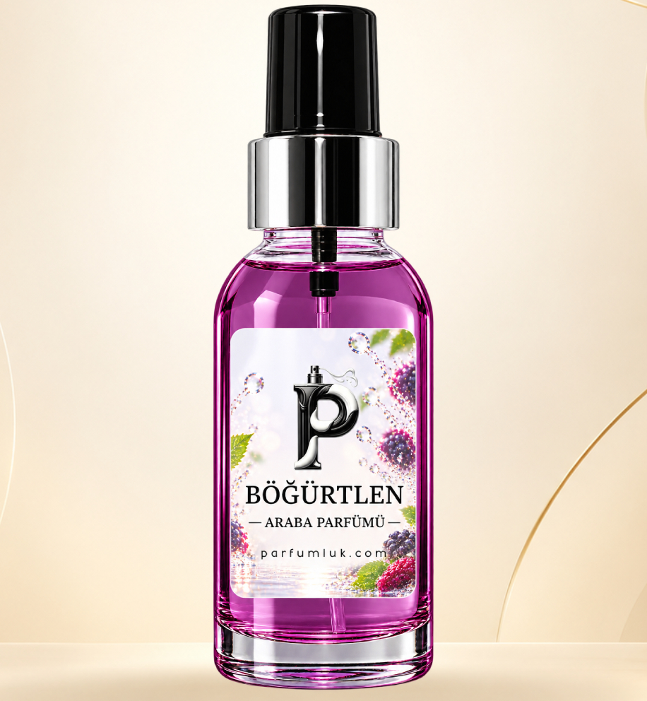 böğürtlen 100 ml · Sprey Araba Parfümü – Parfumluk